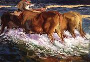 Joaquin Sorolla Y Bastida, Oxen Study for the Afternoon Sun